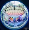 carousel chooser